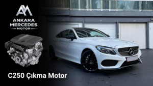 C250 Motor