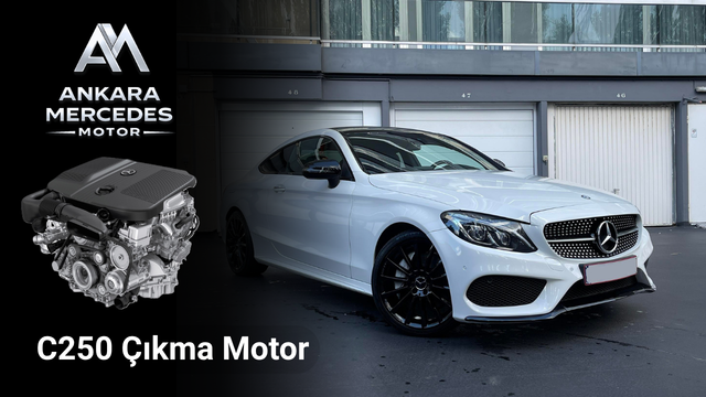 C250 Motor